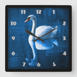 Horloge Carrée Pretty white swan floating on a blue lake