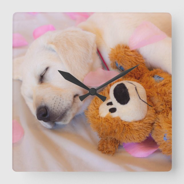 Horloge Carrée Puppy cuddles 02 (Recto)