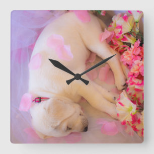 Horloge Carrée Puppy Sleepy