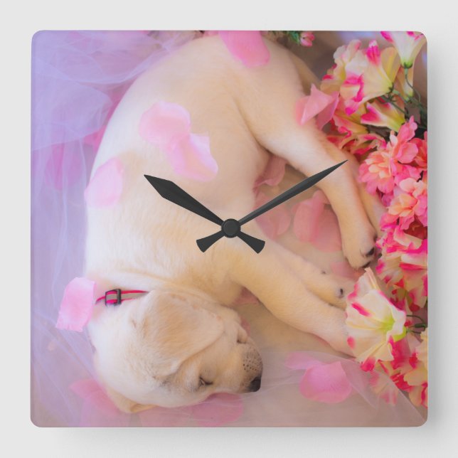 Horloge Carrée Puppy Sleepy (Recto)