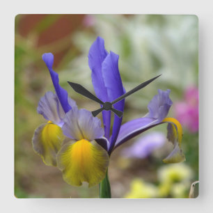 Horloge Carrée Purple iris Wall Clock