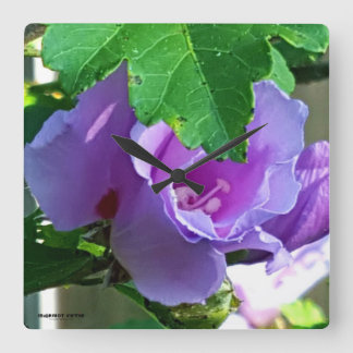 Horloge Carrée Purple rose de Sharon ou Hibiscus Syriacus