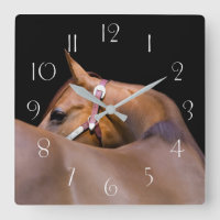 Quart cheval avec arrière - plan noir