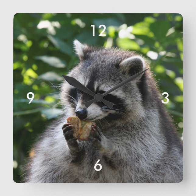 Horloge Carrée Raccoon_2015_0116 (Recto)