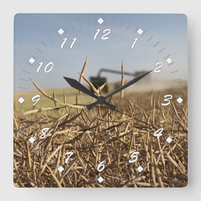 Horloge Carrée Récolte de canola (Recto)