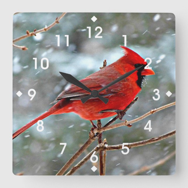 Horloge Carrée Red Cardinal (Front)