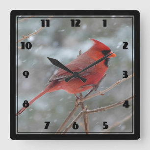 Horloge Carrée Red cardinal en hiver