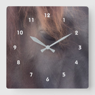Horloge Carrée Réflexions Oeil D'Un Animal Cheval