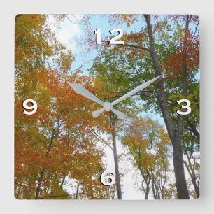 Horloge Carrée Regardant vers le haut les feuilles d'automne I Fe