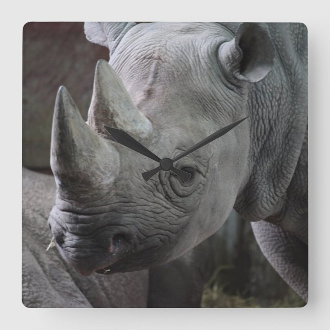 Horloge Carrée Rhinoceros noir (Recto)