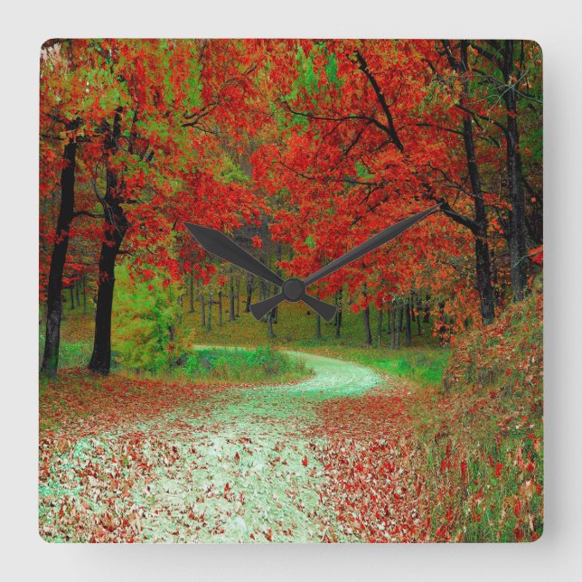 HORLOGE CARRÉE ROAD FOREST TREES BOTANICAL NATURE LANDSCAPE  (Recto)
