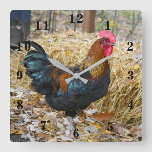 Horloge Carrée Rooster