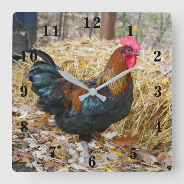 Horloge Carrée Rooster (Recto)