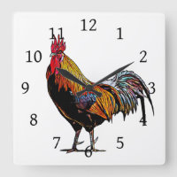 Rooster coloré