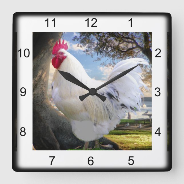 Horloge Carrée Rooster de vacances (Recto)