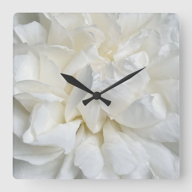 Horloge Carrée Rose anglaise blanche en gros plan (Recto)