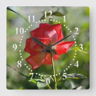 Horloge Carrée Rose rouge
