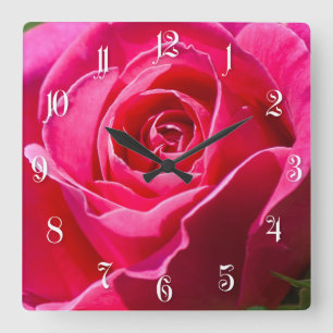 Horloge Carrée Rose rouge poussant dans un jardin