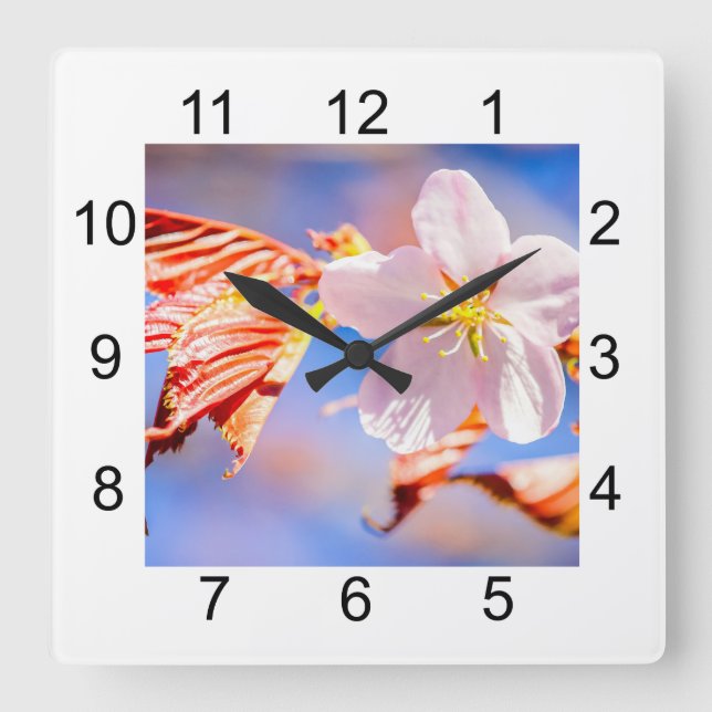 Horloge Carrée Rouge Sakura bleu ciel (Recto)
