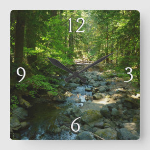 Horloge Carrée Ruisseau Laughingwater au Parc national du mont Ra