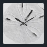 Horloge Carrée Sables dollars Beach Coastal Black White Trendy<br><div class="desc">Designed with image of sand dollar in the background,  this is perfect for beach house decor christmas,  holiday toxits !</div>