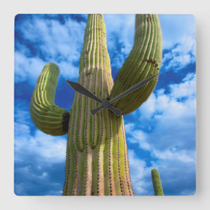 Horloge Carrée Saguaro cactus portrait, Arizona