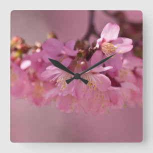 Horloge Carrée Sakura Cherry Blossoms Delicate Pink Bouquet