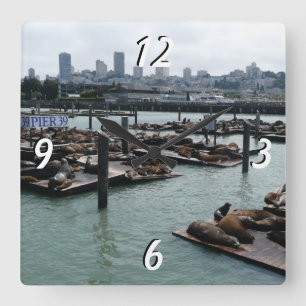Horloge Carrée San Francisco et Pier 39 Sea Lions City Skyline