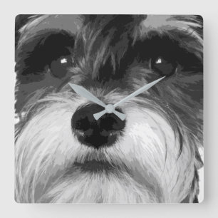 Horloge Carrée Schnauzer miniature