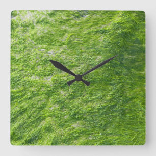 Horloge Carrée Sea Moss Green Nature Plage d'herbe Nautique