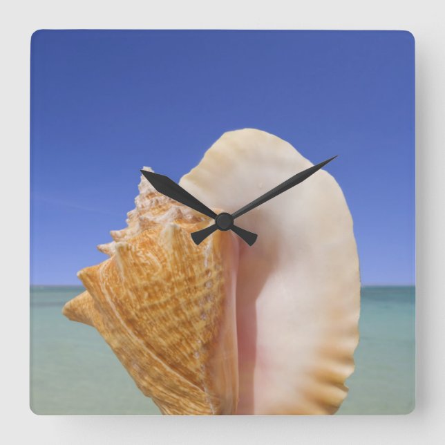 Horloge Carrée Sea shell Close (Recto)