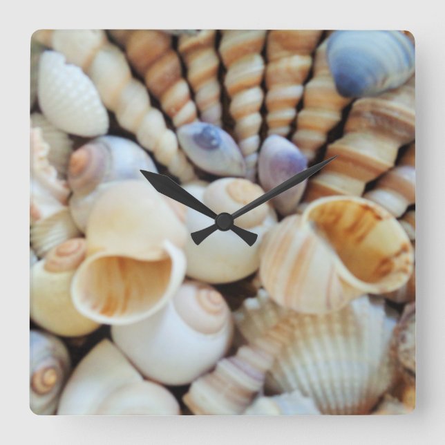 Horloge Carrée Sea Shells, Summer Beach Exotic Tropical Clock (Recto)