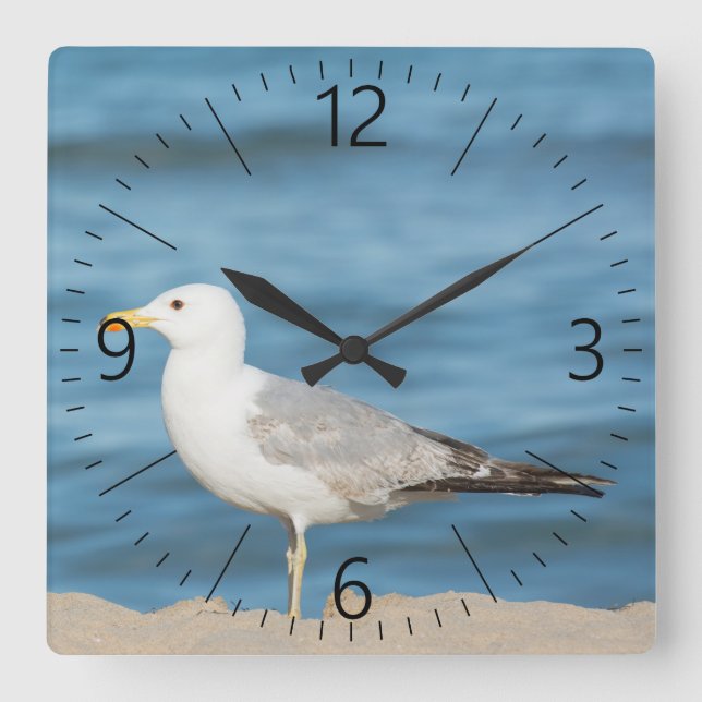 Horloge Carrée Seagull walking on the beach (Recto)