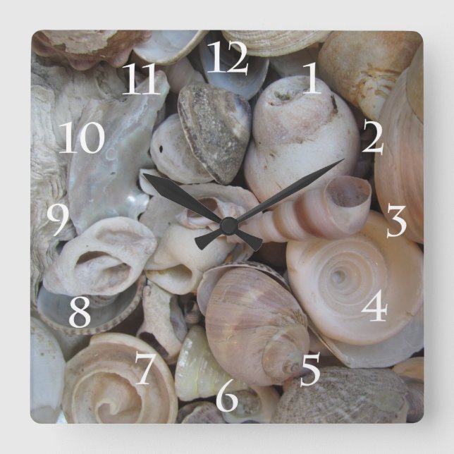 Horloge Carrée Seashells (Recto)