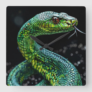 Horloge Carrée Serpent vert