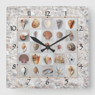 Horloge Carrée Shell échouent l'horloge