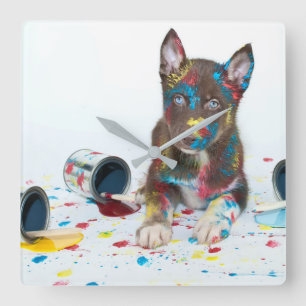 Horloge Carrée Silly Husky Puppy got into Paint Buckets