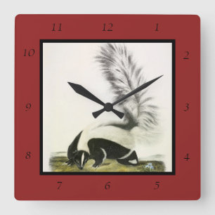 Horloge Carrée Skunk à capuchon ou Skunk à grande queue d'Audubon