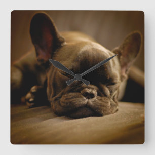 Horloge Carrée Sleepy French Bulldog