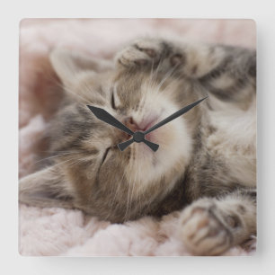 Horloge Carrée Sleepy Kitten