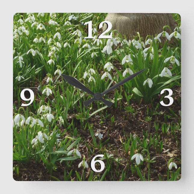 Horloge Carrée Snowdrops (Recto)