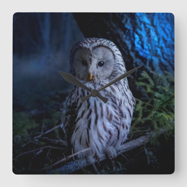 Horloge Carrée Snowy Owl (Recto)