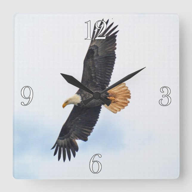 Horloge Carrée Soaring Bald Eagle Wildife Photo Art (Recto)