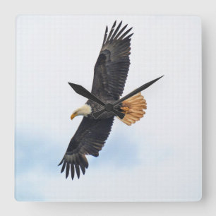 Horloge Carrée Soaring Bald Eagle Wildife Photo Art