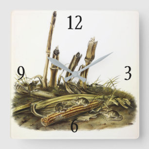 Horloge Carrée Souris de récolte de l'Est ou petite souris de réc