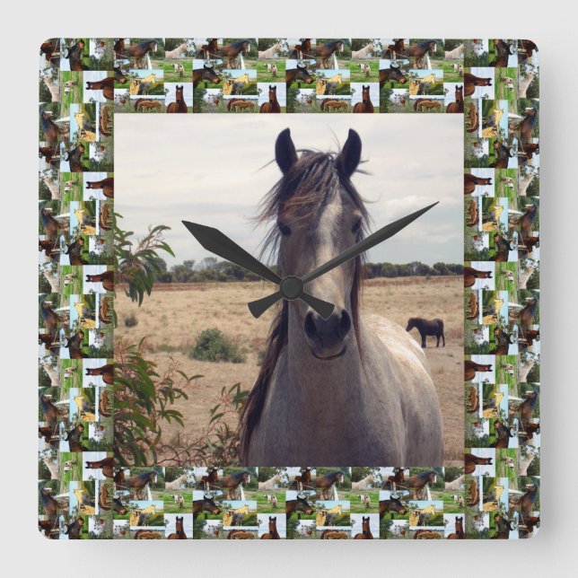 Horloge Carrée Speckled Arab Horse In Horses Photo Frame (Recto)