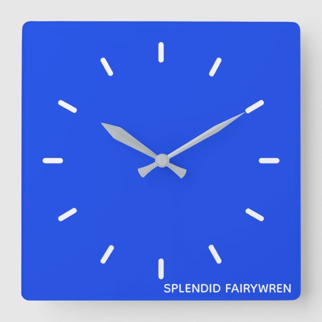 Horloge Carrée Splendid Fairywren Blue Colour (Recto)