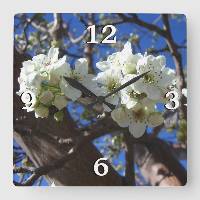 Horloge Carrée Spring Flowering Pear Tree (Recto)