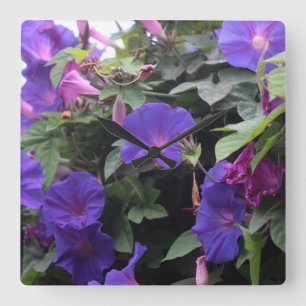 Horloge Carrée Spring Morning Glories en bleu