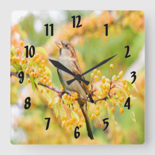 Horloge Carrée Spring time Sparrow